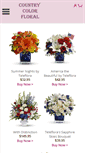 Mobile Screenshot of countrycolorfloral.com